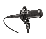 Flikk Microphone
