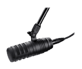 TimtheTatman Microphone