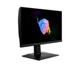 Worthy Monitor
