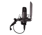 ErycTriceps Microphone