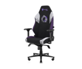 HappyHappyGal's Chair - Secretlab Titan Evo Fortnite Raven Edition