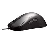 Hansia Mouse